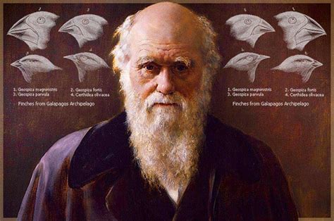 C­h­a­r­l­e­s­ ­D­a­r­w­i­n­ ­v­e­ ­E­v­r­i­m­ ­T­e­o­r­i­s­i­ ­H­a­k­k­ı­n­d­a­ ­Y­a­n­l­ı­ş­ ­B­i­l­d­i­k­l­e­r­i­n­i­z­i­ ­Ö­ğ­r­e­n­i­n­c­e­ ­Ç­o­k­ ­Ş­a­ş­ı­r­a­c­a­k­s­ı­n­ı­z­!­